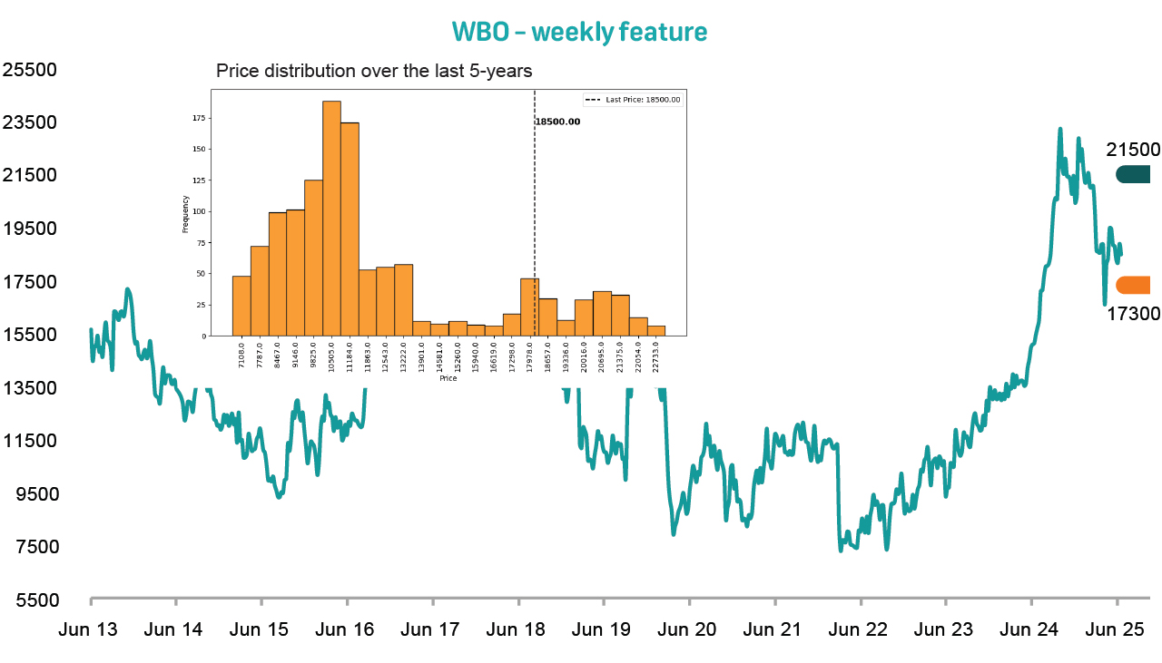 Local Trade Idea: Wilson Bayley Holmes-Ovcon (WBO) - BUY