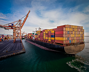 Import and Exporting